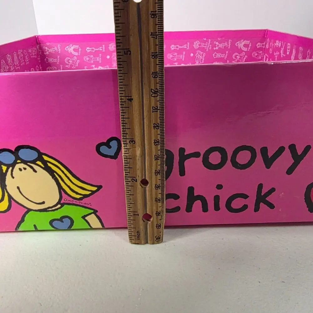Groovy Chick Photo Storage Box w/ Dividers Pink Funky Photos Organizer